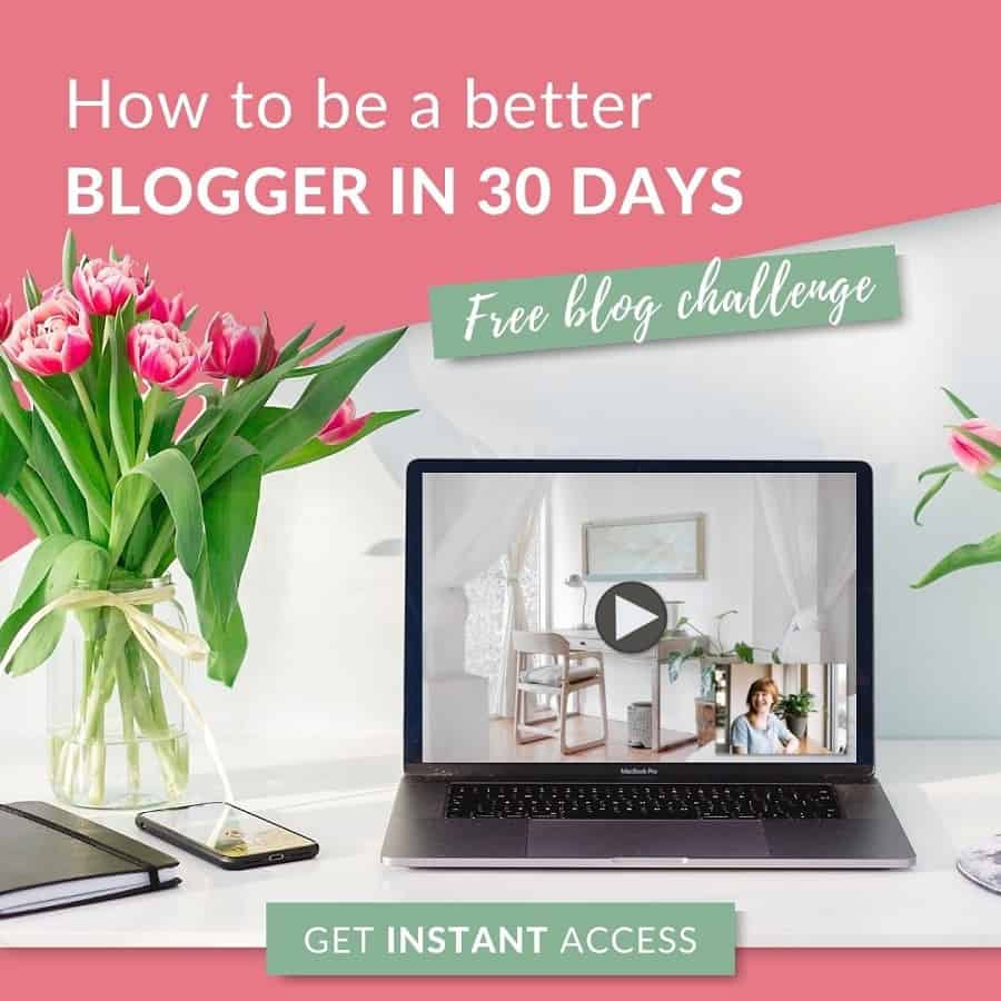 30 Day Blogging Challenge for bloggers. As part of a fun way to encourage bloggers to write more regular content on their blogs, Ladies Make Money Online has created a 30 day blogging challenge to help boost your blog income, your blog traffic and your mailing list! . What is a 30 day Blog challenge? Click here to find out more #blogchallenge #30dayblogchallenge #30days