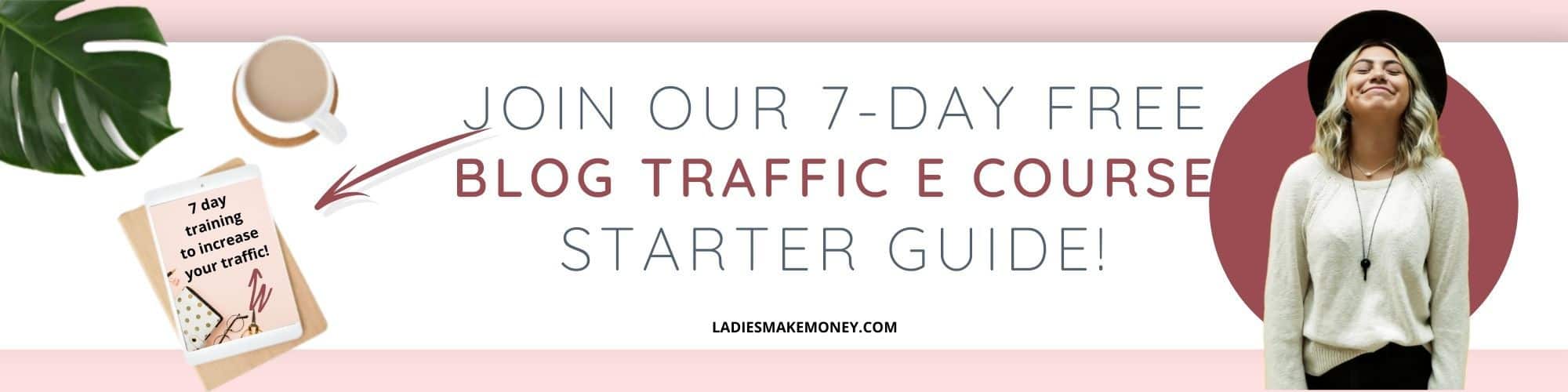 7 day blog traffic - Blog traffic ecourse!